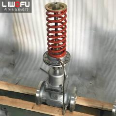 自力式壓力香蕉视频APP免费下载：自我調節，控製新趨勢